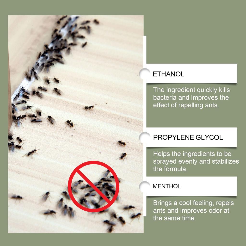 Спрей от муравьев для внутреннего и наружного применения, свежий, быстрый и эффективный против муравьев, 60 мл