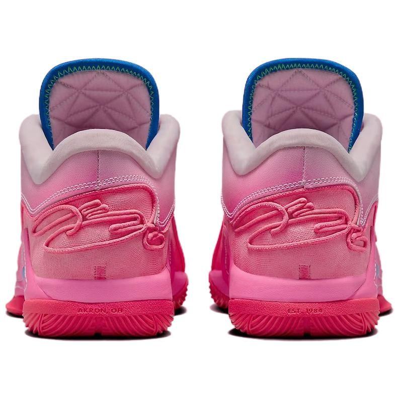 Nike Баскетбольные кроссовки LeBron 22 Low top Мужские Розовый Белый HV8456-600