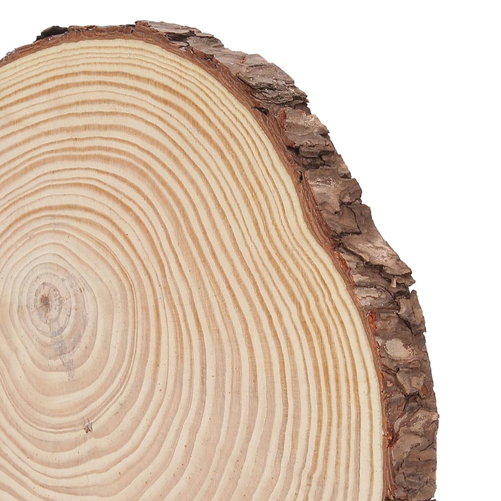 Натуральное дерево Необработанные деревянные круги Украшения Неправильное дерево с корой