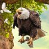 Realistic Bird Repel Scarecrow Waterproof Expel Birds Pendant Fake Eagle Scarecrow Pendant Garden Patio Protector Pendant