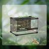 Reptile Glass Terrarium With Stone Background Front Ventilation Escape Proof Knob Lock 30 X 20 X 20 Cm Black