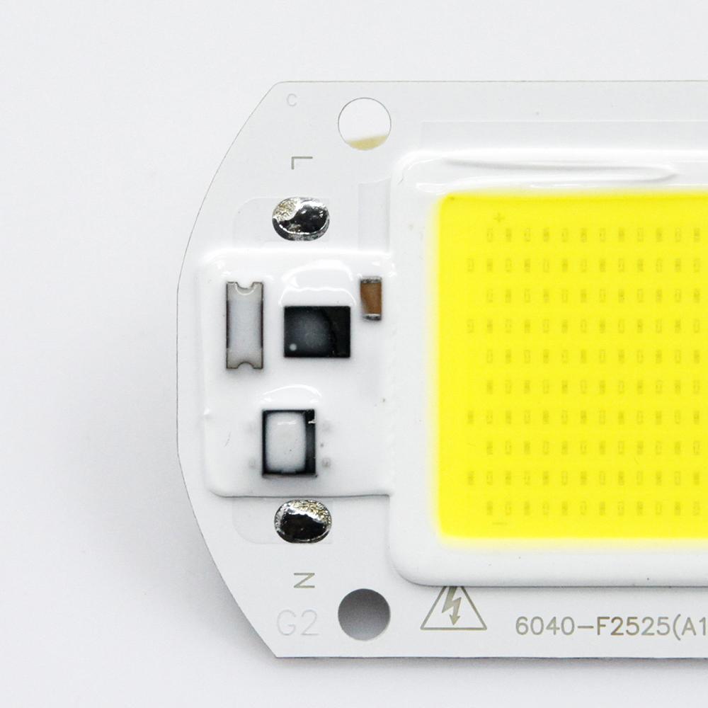 LED Lights COB LED Lamps CHIP AC 220V 50W 30W 20W 10W Hight Brightness Lighting COB Lights Chip For DIY Smart IC Full Spectrum Flood Light