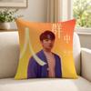 Singer EEle YYan Cushion Cover Soft Short Plush SkinFriendly Cushion Case for MultiScene Use