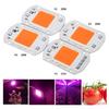 20/30/50W Full Spectrum LED COB Chip Grow Light Plant Growing Lamp Bulb 220/110V