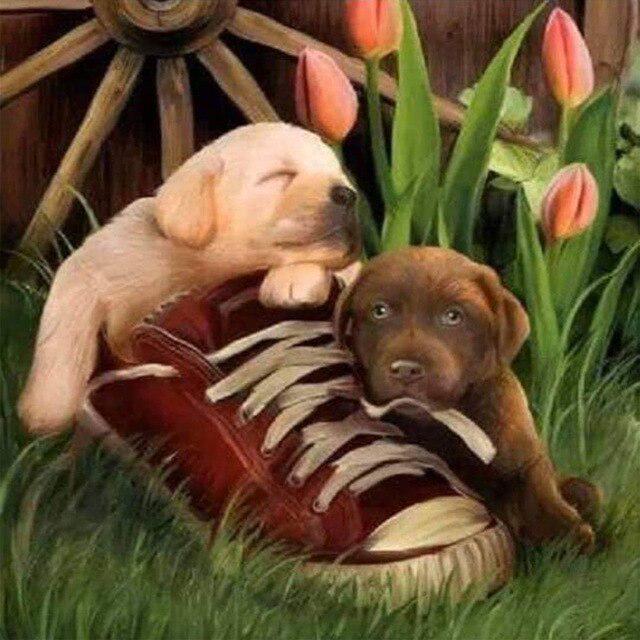 Животное DIY 5D алмазная живопись полная круглая дрель стразы мозаика домашняя собака Алмазная вышивка крестиком украшение дома