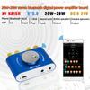 Мини усилитель мощности 200 Вт*2 класса D HiFi стерео 12 В/24 В цифровой аудиоусилитель HiFi усилители звука домашний автомобильный усилитель динамиков