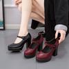 Mary Jane Shoes   2024 New Chunky Platform  Women High Heels Pumps Woman Round Toe Thick Heel Party Work Shoes
