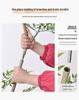 Artificial Indoor Plants & Trees: Monstera, Areca Palm, Jacaranda, Nandina, Rubber Fig - Free Shipping