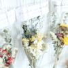 Everlasting Real Flower Bouquet: Gypsophila, Daisy, Cotton, Forget-me-not, Rose - Perfect for Qixi Festival, Valentine's Day, and Teacher's Day.