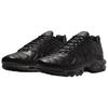 Nike Кроссовки Air Max Plus Premium Paris Unisex Black Black-Tea Petra-Brown HJ4519-200
