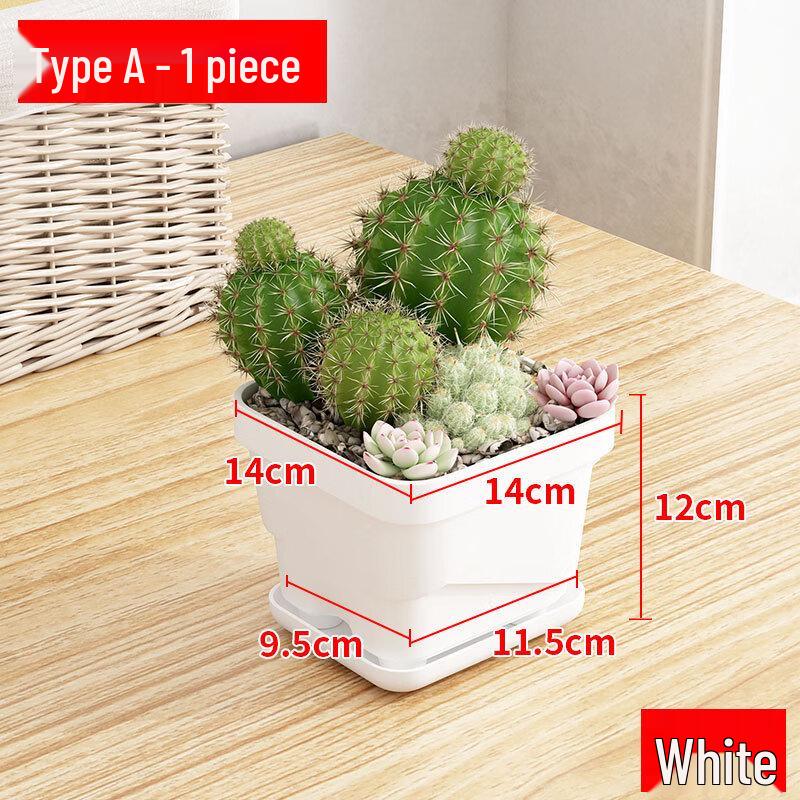 MOJY Decorative Desktop Succulent Planter with Tray