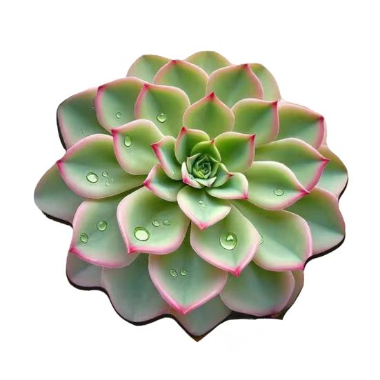 3D Цветочный Плейсмат Диатомовая Земля Абсорбирующий Обеденный Мат Термостойкий Реалистичный Цветочный Плейсмат для Обеденного Стола Кухонной Столешницы Декор Стола