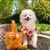 Lightweight Floral Dress Small Dogs - Princess Style Pet Outfit Bichon Teddy Teacup Breeds
