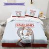 Haaland Pattern Bedding Quilt Set  Home Decoration  Gift (1 * duvet cover + 2 * pillowcase  without core)
