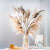 Fluffy Reed Flower Bouquet Wheat Stalk Fake Reeds Creative Pampas Grass Bouquet Home