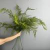 Realistic Artificial Fern Plant Branches Large Boston Fern Leaves Fake Plants  Outdoor Garden Decor