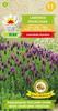 French Lavender Flower Seeds for the Garden, Large Yields