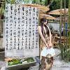 Ancient Style Chinese Calligraphy Curtain Retro Photography Backdrop  Photography Props