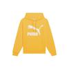Puma Sports Lifestyle Series Pattern Printed Casual Hoodie Men Hoodies Yellow 531370-39