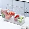 Removable Chilled Condiment Server Tray Clear Dispenser Fresh Box Garnish Tray with Lids Entertaining Plastic