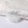 Mercury Home Textiles Илань Фанхуа Шелковое стеганое одеяло из тусса