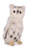 BH6155 HANSA Snowy Owl 18