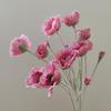 Искусственные цветы Длинный стебель Искусственный мак Шелковые цветы Новоселье Сад Дом Стол Свадьба Сделай сам Свадебная вечеринка Букет Украшение