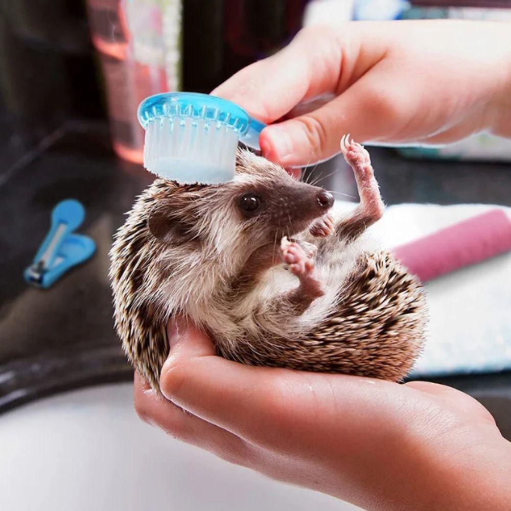 Soft Small Hamster Brush Long Hair Guinea Pig Massage Combs Hedgehog Bathing Brush  Grooming