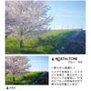 KENKO Soft Filter Nostalgic Tone Blue 55mm for Soft Effects and Color Effects Made In Japan 006344