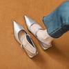 Silver Single Shoes Women's 2025 New Spring Skirt Pointed Mary Jane High Heels French Word with Shoes Children