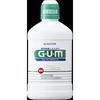 GUM Dental Rinse Regular Type 250ml