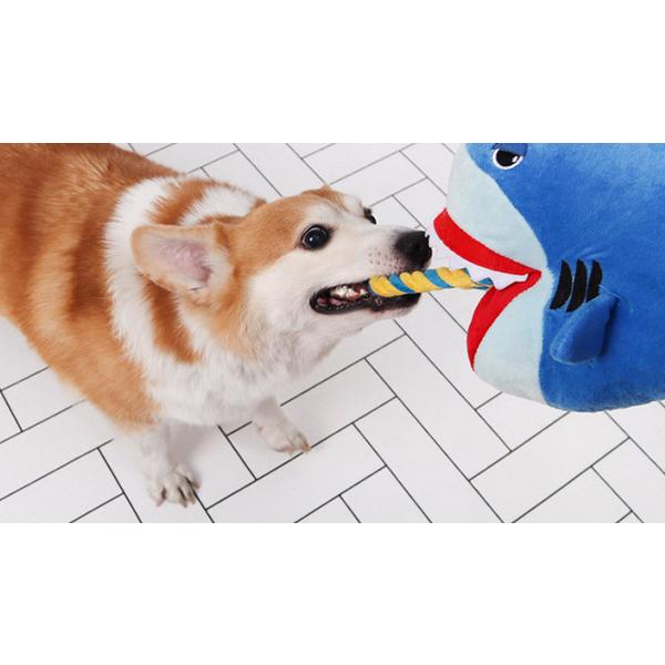 Игрушка-буксир Dingdongpet 12см х 24см х 18см, акула, 1 шт.