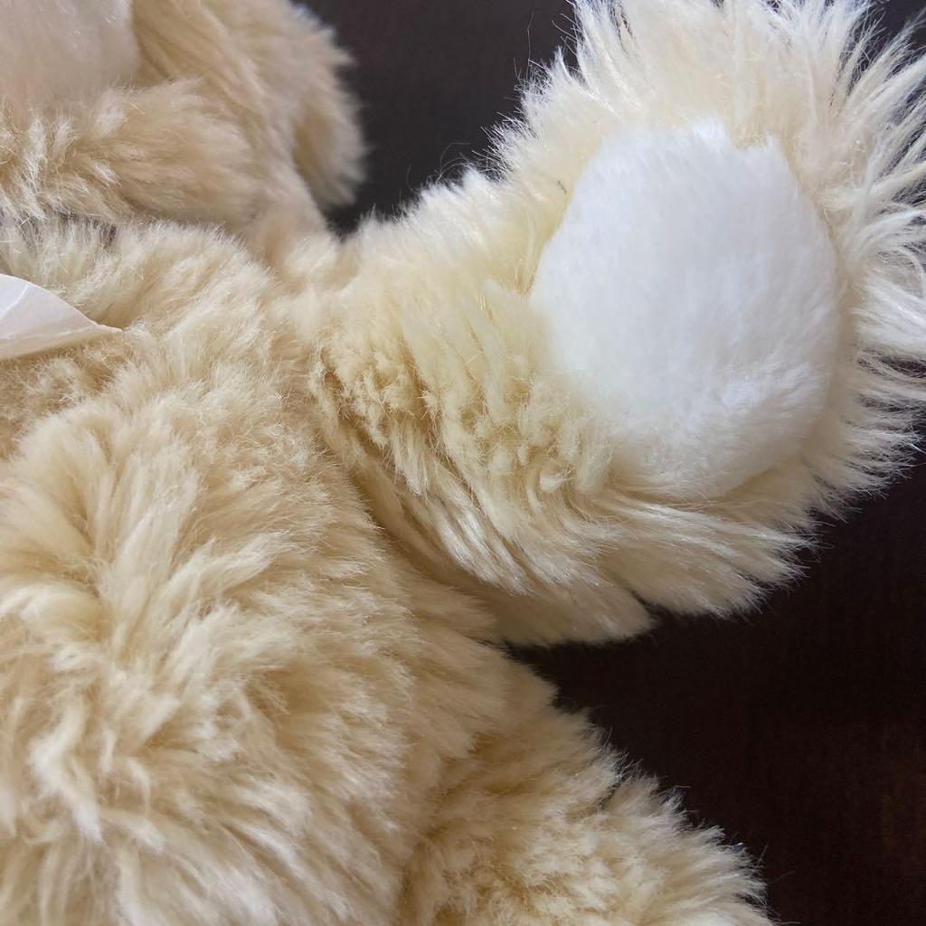 [USED] Steiff Teddy Bear Bobby 013461 Sweetheart 109904