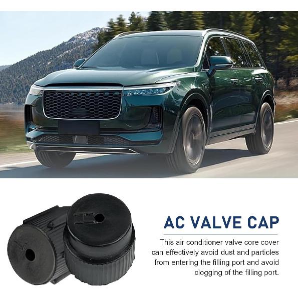 10Pcs Car AC Service Valve Cap Kit, 0.51"/13mm & 0.62"/16mm High Low Pressure Port Caps, Air Conditioning System Charging Port Covers, A/C Service