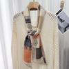 New Silk Double-layer Double-sided Warm Autumn and Winter Fashion Scarf Neck Protection Small Shawl Commuter Style