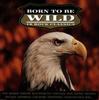 CD РАЗЛИЧНЫЕ  Born To Be Wild 18 Рок-классики MUSCD001 MCI MUSIC 1992 Великобритания Рок Б/у
