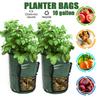 Versatile And Sturdy 10 Gallon Reusable Bags For Growing Fresh Produce Anywhere