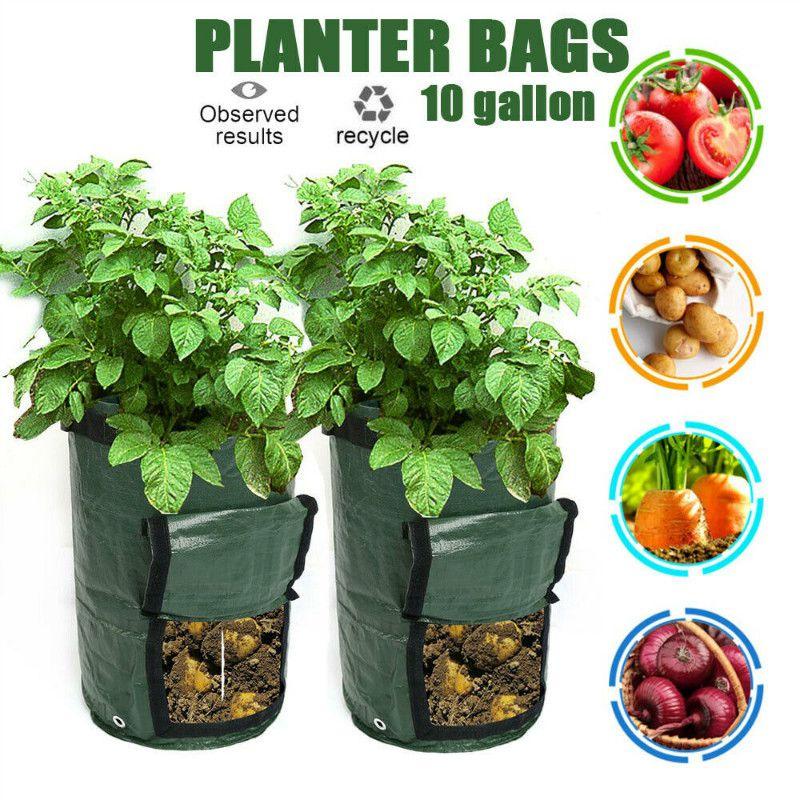 Versatile And Sturdy 10 Gallon Reusable Bags For Growing Fresh Produce Anywhere