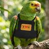 Parrots Flight Suit Harness Vest With Strong Leash Training Suit For Parrots Pet Bird Outdoor Exploration And Exercise