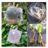 5pcs 8cm Fruit Plant Tree Rooting Ball Root Box Plastic Case Transparent Grafting Rooter Growing High-pressure Breeding