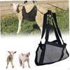 Calf Sling for Weighing Animals Scale Hanging Weight with Adjustable Straps Calves Lambs Goat Baby