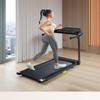 TLXT Q500 Electric Treadmill CN plug (adapter included)