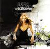CD SHERYL CROW - Wildflower B000522902 A&M 2005 US Rock Used