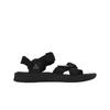 ACG Air Deschutz+ Черные Антрацитовые Кроссовки Унисекс Серо-Туманные DO8951-001