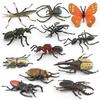 Insect Animal Model Pvc Collection For Educational Display And Collection Enthusiasts