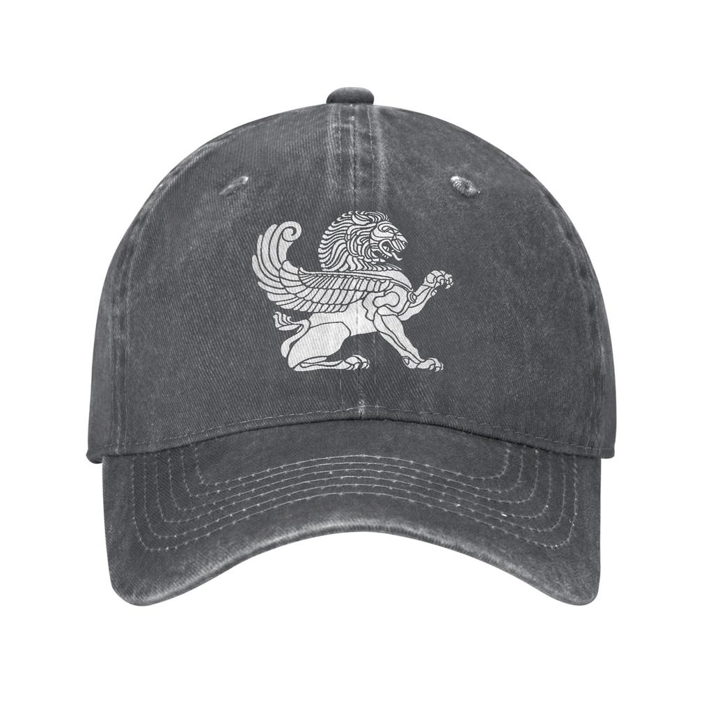 Persian Lion Iranian Baseball Cap Sun  Outdoor Gym Sun-Proof Washed Trucker Hat Women Unisex Casual Design Snapback Cap