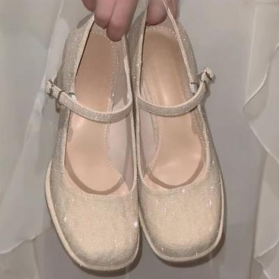 Модная женская весенне-осенняя новая обувь Мэри Джейн с круглым носком и неглубоким вырезом, противоскользящая, износостойкая, на блочном каблуке, на высоком каблуке