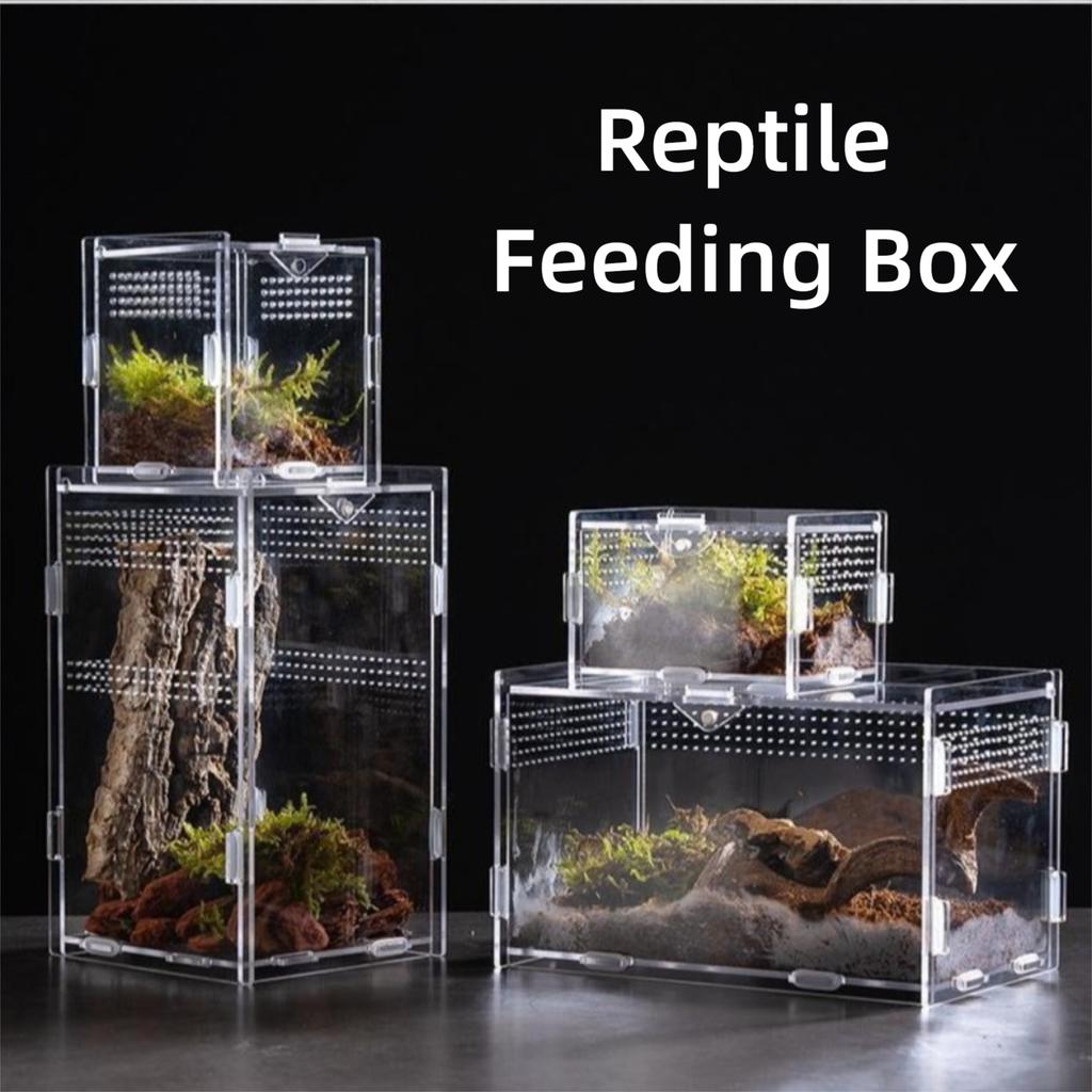 Anti-Escape Reptile Habitat Clear Spider Feeding Case Durable Lizard Breeding Box for Chameleon