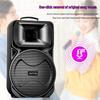 Souai SA-X81 Portable Outdoor KTV Speaker