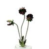 Flytrap Plant Garden Stakes Halloween Yard Decor Metal Art Gift for Garden Enthusiasts Creative Outdoor Sculptures